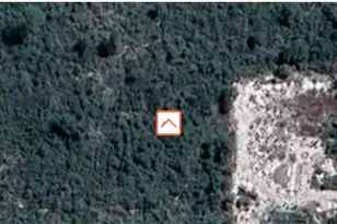 10321 Heather Downs Ter, Sebring, FL 33875 - Photo 1