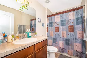 10733 Savannah Landing Cir, Orlando, FL 32832 - Photo 14