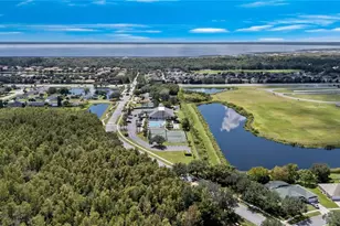 3803 Blue Dasher Dr, Kissimmee, FL 34744 - Photo 40