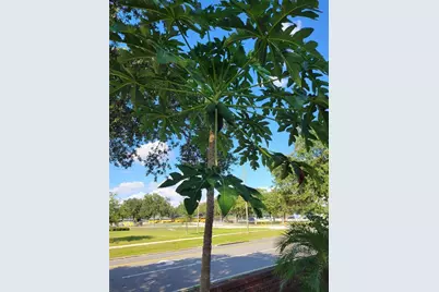 386 Cello Street, Davenport, FL 33896 - Photo 22