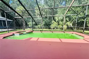 1218 Winding Willow Ct, Kissimmee, FL 34746 - Photo 20