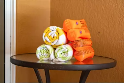 170 Essex Place, Davenport, FL 33896 - Photo 48