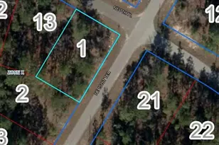Lot 1 NE 7th Pl, Williston, FL 32696 - Photo 1