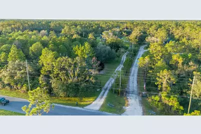 20107 Starry Street, Orlando, FL 32833 - Photo 48