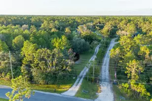 20107 Starry St, Orlando, FL 32833 - Photo 48