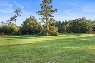 20107 Starry St, Orlando, FL 32833 - Photo 30