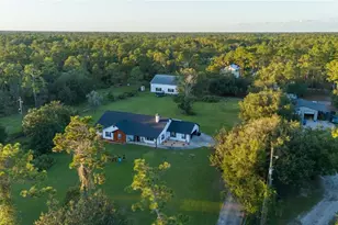 20107 Starry St, Orlando, FL 32833 - Photo 4