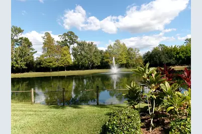 14501 Grove Resort Avenue #1612, Winter Garden, FL 34787 - Photo 48