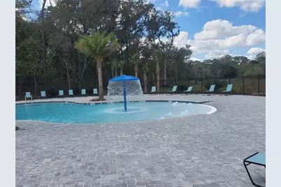 823 Chinoy Road, Davenport, FL 33837 - Photo 72