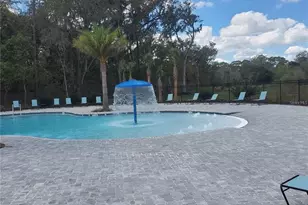 823 Chinoy Rd, Davenport, FL 33837 - Photo 72