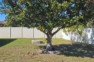 540 Oak Branch Cir, Kissimmee, FL 34758 - Photo 10