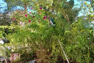 417 Club Cir, Lakeshore, FL 33854 - Photo 26