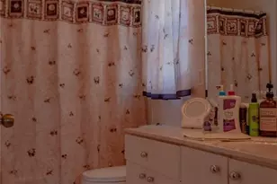 11241 Cocoa Beach Dr, Riverview, FL 33569 - Photo 34