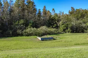 1398 Del Mar Dr, Kissimmee, FL 34759 - Photo 60