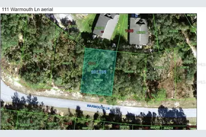 111 Warmouth Lane, Kissimmee, FL 34759 - Photo 4