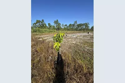 61681 Krazy Court, Saint Cloud, FL 34773 - Photo 10