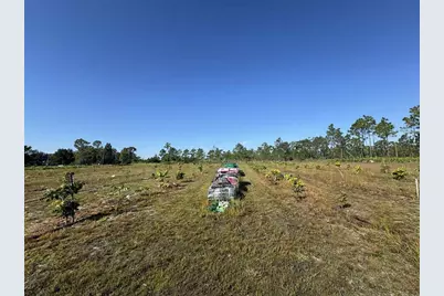 61681 Krazy Court, Saint Cloud, FL 34773 - Photo 14