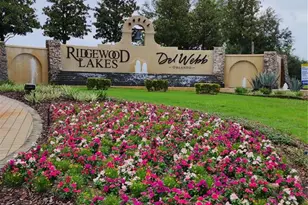 1141 Blue Jay Dr, Davenport, FL 33837 - Photo 34