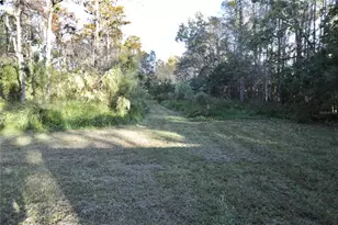 1605 8th St, Orlando, FL 32820 - Photo 60