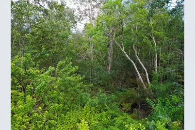 3641 Packard Avenue, Saint Cloud, FL 34772 - Photo 30