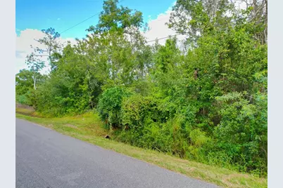 3641 Packard Avenue, Saint Cloud, FL 34772 - Photo 26