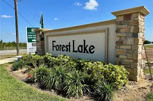 2612 Magnolia Ave, Davenport, FL 33837 - Photo 38