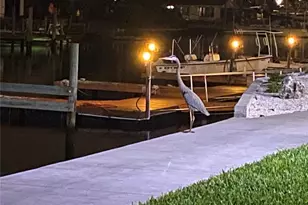 6009 Sea Ranch Dr, Hudson, FL 34667 - Photo 26