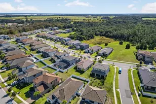 1910 Goblet Cv St, Kissimmee, FL 34746 - Photo 38