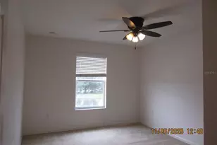 4388 Fawn Lily Way, Kissimmee, FL 34746 - Photo 30