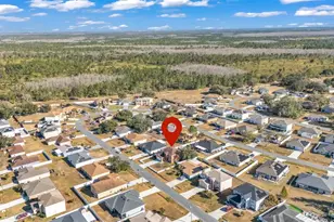 716 Parrot Ct, Kissimmee, FL 34759 - Photo 48