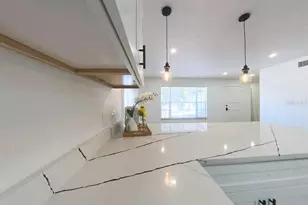 905 Spring Creek Dr, Ocoee, FL 34761 - Photo 14