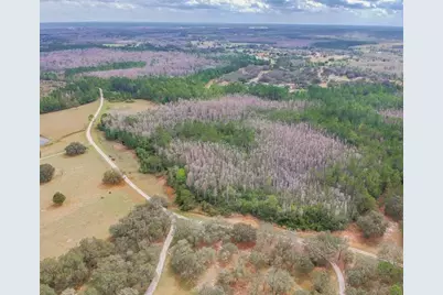 Duboise Drive, Clermont, FL 34711 - Photo 4