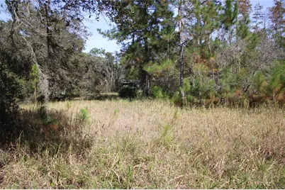 Duboise Drive, Clermont, FL 34711 - Photo 8