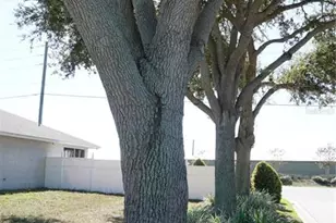 104 Bentley Oaks Blvd, Auburndale, FL 33823 - Photo 22