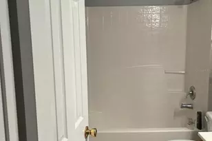 30404 Pongo Way, Wesley Chapel, FL 33545 - Photo 4