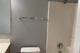 30404 Pongo Way, Wesley Chapel, FL 33545 - Photo 2