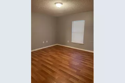 30404 Pongo Way, Wesley Chapel, FL 33545 - Photo 6