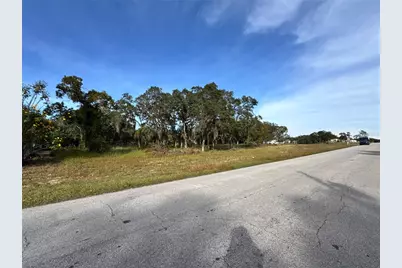 Fast Trot Trail, Lake Wales, FL 33898 - Photo 4