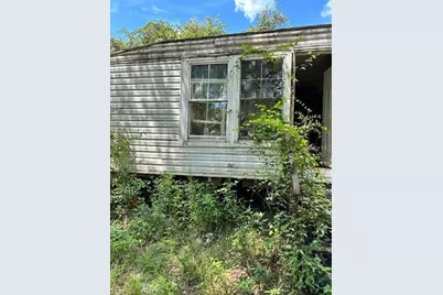 14525 NE 213th Lane, Fort Mc Coy, FL 32134 - Photo 4