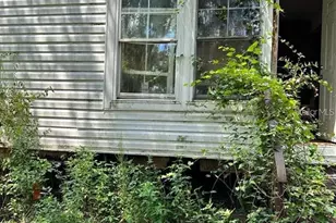 14525 NE 213th Ln, Fort Mc Coy, FL 32134 - Photo 4