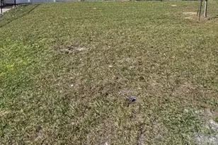 548 Hart Ln, Dundee, FL 33838 - Photo 36