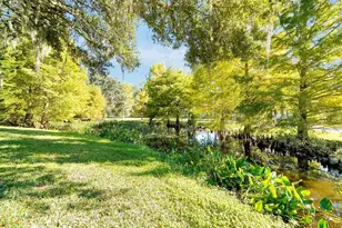 81 Oakdale St, Windermere, FL 34786 - Photo 72