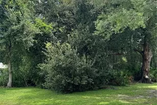 0 Tiffany Ct, Kissimmee, FL 34758 - Photo 1