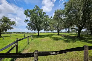 2596 NW Murphy St, Arcadia, FL 34266 - Photo 28