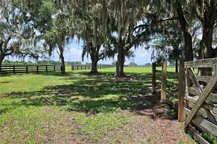 2596 NW Murphy St, Arcadia, FL 34266 - Photo 24