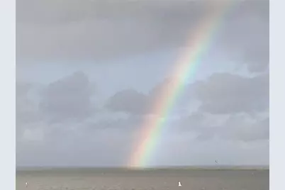 6009 Sea Ranch Drive #306, Hudson, FL 34667 - Photo 38