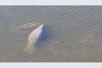 6009 Sea Ranch Drive #306, Hudson, FL 34667 - Photo 42