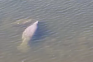 6009 Sea Ranch Dr, Hudson, FL 34667 - Photo 42