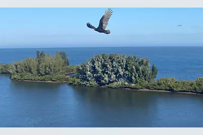 6009 Sea Ranch Drive #306, Hudson, FL 34667 - Photo 76