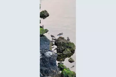 6009 Sea Ranch Drive #306, Hudson, FL 34667 - Photo 74